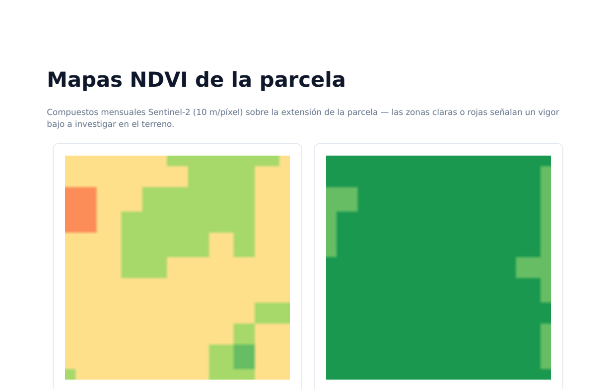 Two NDVI maps comparing a recent scene with the comparable prior period